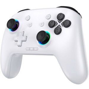 FONLAM Switch�S�@��Ή� �R���g���[���[ Switch2/PC/iOS/Android/Steam Deck���Ή� ���� �Q�[���p�b�h �h���t�g�Ȃ��z�[���X�e�B�b�N �W���C���G�C�� �}�N���@�\ RGB���C�g ����/�蓮�A�� �U���E�A��