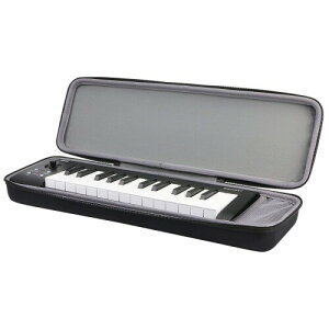 KORG(RO) microKEY Air-25 /microKEY-25 MIDIL[{[h Ή pی[P[X -Aenllosi