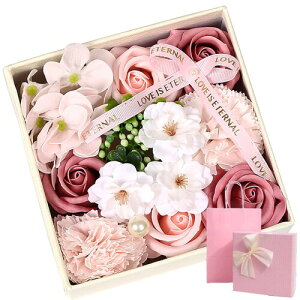 CaanDyy V{t[ԑCzCgf[Mtg Ct[\[v KN {tp{bNXAp񂰑܁AbZ[WJ[ht Ό o  ̓ v[g 胍[