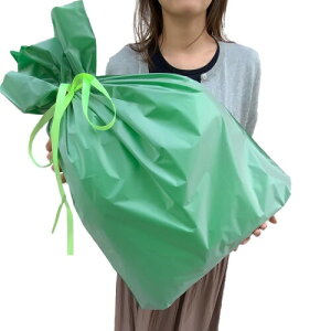 bsO   tXg W550×H650 mm () {iς݂ňSi v[g Mtg 傫 TCY {t NX}X nEB a 