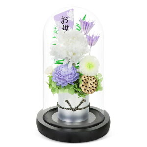  dp ~    SENJWARM vU[uht[ KXh[ ybg Q e ybĝ   ފ ~ V~ ~ 䋟 l\ Q