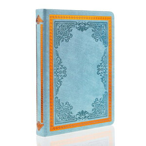 Mazerann[hVFm[gAPUU[Ċ炩ȕMLAgB6rGKg? [ wpi  AwA̎qAÃv[g