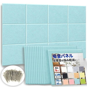 ht@Xg{(R) zpl uhisokavXNGA^ 12Zbg i ̔Y݂̌y j z h hV[g (c30cm×30cm 9mm) y[u[