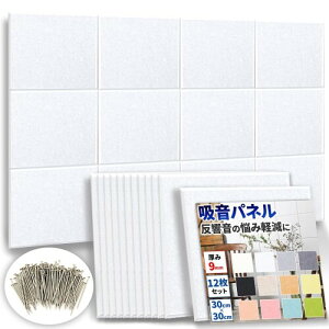 ht@Xg{(R) zpl uhisokavXNGA^ 12Zbg i ̔Y݂̌y j z h hV[g (c30cm×30cm 9mm) zCg