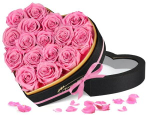 vU[uht[ 16 sN ͂Ȃ{KN Ԕ 肠  lC  j ̓ LO   a v[g