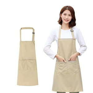 (DANSACE) Gv p Gv fB[X VvGv JtFGv  h ɂ ӂ |Pbgt Ɨp ƒp 킢  (x[W-JtF)