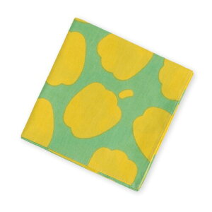 ܂ C~ pvJ/{ TCY50cm×50cm 100 / C~ C~ NX nJ` ٓ `[t/̓ ̓ hV̓ a  w