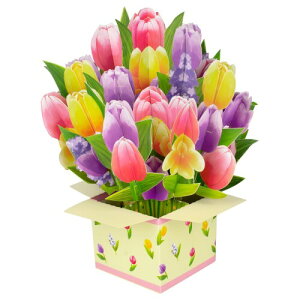 `[bṽXNGA{bNX |bvAbv t[u[P O[eBOJ[hA󔒂̃m[gJ[hƕt AxAaALOAʂȏuԁA̓Ao^