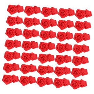 SEWACC H|pCXg[ {̃o 100 hJo ԃo zDIYANZT[ |GXe  öߗޕti iCp NX}X ̓ fR[V