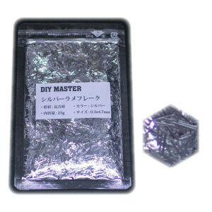 DIY MASTER �V���o�[ �����t���[�N �����O 0.3mmx4.7mm (��) 25g