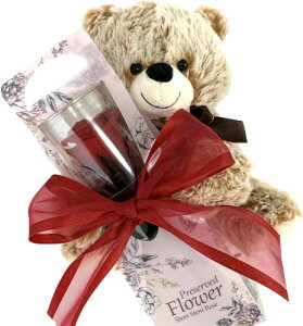 vU[uht[JtF vU[uht[ N}̂ʂ݂ƃ[ỸMtg j a LO (`F[bh)