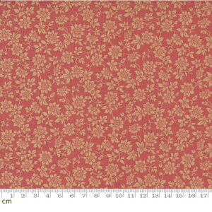 moda 13915-13 ԕ V[`O n |p bh (n110cm×100cm)