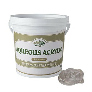 h S[hE^bNV[Y (1kg, Silver Vo[) ^Jh