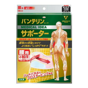 oeT|[^[ pŒ^Cv 傫/LLTCY(ւ 95~115cm) pXesN