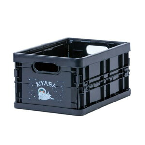 NEKONOBA ܂肽݃~jRei NYASA