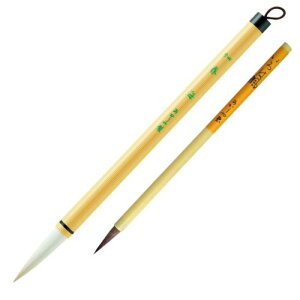  M {g 4+8 wZʗp ALS-100