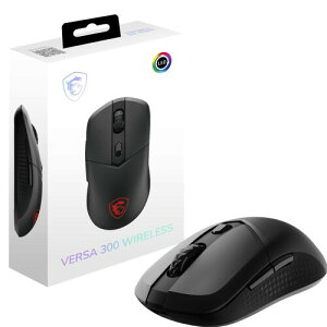 MSI VERSA 300 W CX Q[~O}EX y 60g L  EΏ MS0731