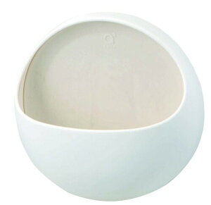 SANEI(TGC) oX| 񂨂 zCg