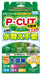 H| RguL  PEJbg lbg60 p