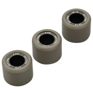 fCgi(Daytona) oCNp DWR EGCg[[ [t@C]15×12mm 3.0g wȂ 3Zbg 90447