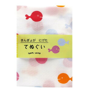 wXeCt ܖY Ăʂ  F12079