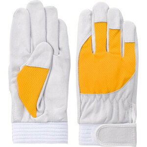 xmO[u F-505CG[LL 5885 ؖ{v(}WbN^Cv)