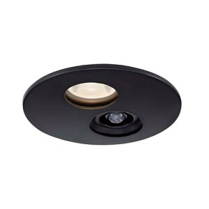 ����d�@ DAIKO �����p �l���Z���T�[�tLED�_�E�����C�g ���ω΍\���Ή� �񒲌� ���C��SG1�` �l���Z���T�[ ON/OFFI ������[�t�@�C]100 �����v�t LED 4W�iE11�j���p�` �����F 3500K 12V�_�C�N���n���Q��35W