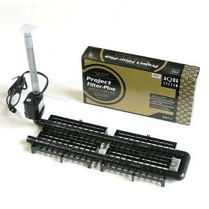 ANAVXe vWFNgtB^[ vX 60HZ