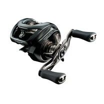 楽天市場】ダイワ(DAIWA) バスベイトリール 24STEEZ(スティーズ) SV TW 