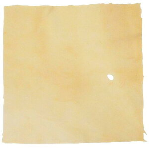 HOSCO �G�]�V�J�Z�[���v�N���X S�T�C�Y(��30x 30cm) �y��̓��탁���e�i���X�ɍœK HCL-100S