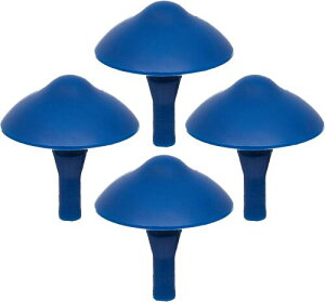 NXR (CUSCO)g^ nCG[X 200n 918 6PT DWS1