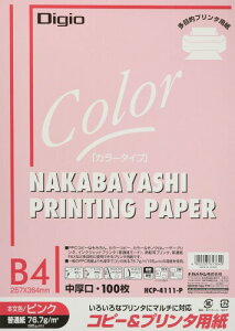 iJoV Rs[p J[^Cv 100 B4 sN HCP-4111-P