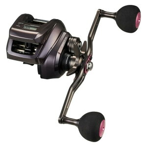 _C(DAIWA) JE^[txCg[ 24g IC 200PL