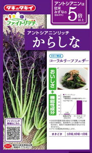 ^LCc AgVAjb`炵 R[[ttFU[