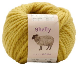 A XL[ ҂ݖю VF[ыɑ(10ʃZbg) Col.3003