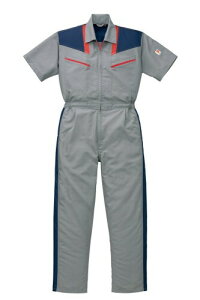 KANSAI RcC ciM KM-253 Vo[O[ LTCY