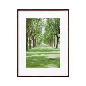 nNo HAKUBA y z ZEROt[ G-01 A3 uE FZG01-A3BR