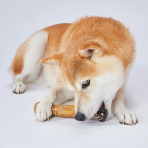 yeBI (Petio) p GVJhA R[q[Ebhn[hXeBbNL