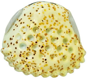 ���܂���(Gamakatsu) ���O�[ ���� �f���^�V���J�[ TG 38g (10��) #10 �t���O���[ 19-402