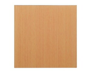  \DEv[g EbhCN}bgTC Cv n 100x100x2mm WMS1007-T