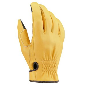 fCgi(Daytona) oCN O[u v(v) tďH~ { ɏv~A DKJbg V[g HBG-037 L LTCY 96819