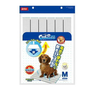 }J S̃N[ЂA~{[h M ELp