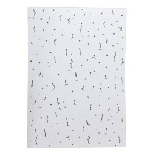 qTS VV[EWvg[ A4(210X297mm) V B B GB5000 10V[g