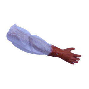 (OdwH) ~G[u Ǝ 炩 No.5 M O