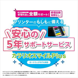 �G�v�\�� �J�[�g���b�W���f���p�T�[�r�X�p�b�N �S�z�T�|�[�g �J�����I�X�}�C��PLUS SL50CD5R �w������5�N�� �z���C�g