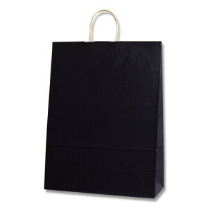 ヘイコー 手提 紙袋 25CB カスタムB 未晒 クラフト クロ 38x15x50cm 50枚