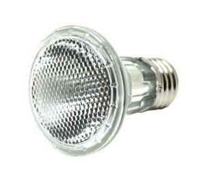 roA Vivaria ঒ޗpnQۉ fCnQ 22W