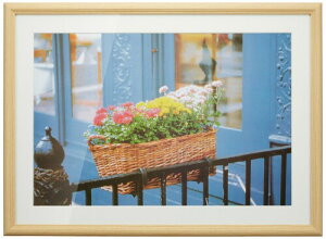 FUJICOLOR �z�� YM-3 �ؒn A3�m�r �ؐ� �x�[�W�� 7841