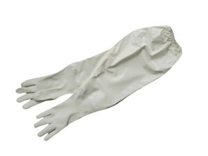 (OdwH) ~G[u Ǝ X[p[\tgR S O