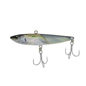 MORE KEEN-01 30g #02 SCALE ANCHOVY(�J�^�N�`),���A�L�[��